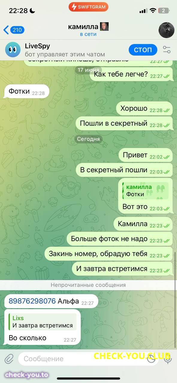 Ахмельянова Камилла Рамильевна — фото 10