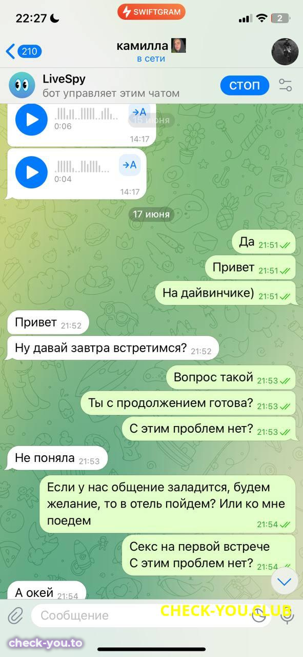 Ахмельянова Камилла Рамильевна — фото 4