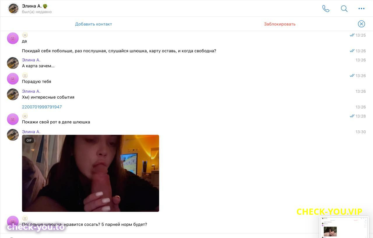 Архипенкова Элина Дмитриевна — фото 4
