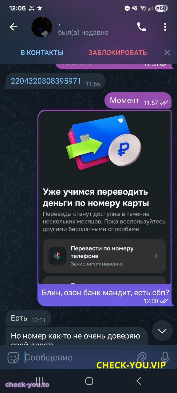 Васильева Полина Денисовна — фото 8
