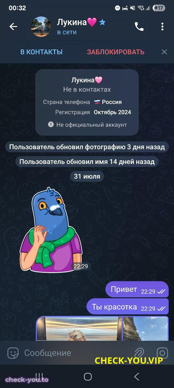 Антипова Ассоль Олеговна — фото 3