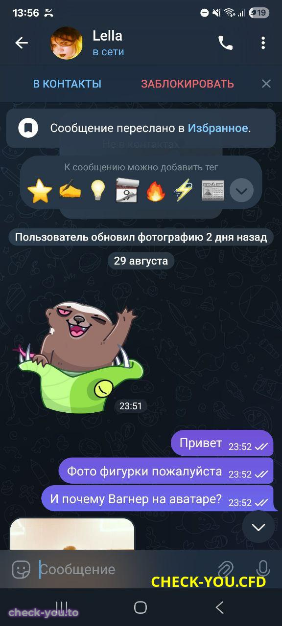 Хиргий (Савельева) Алёна Александровна — фото 3