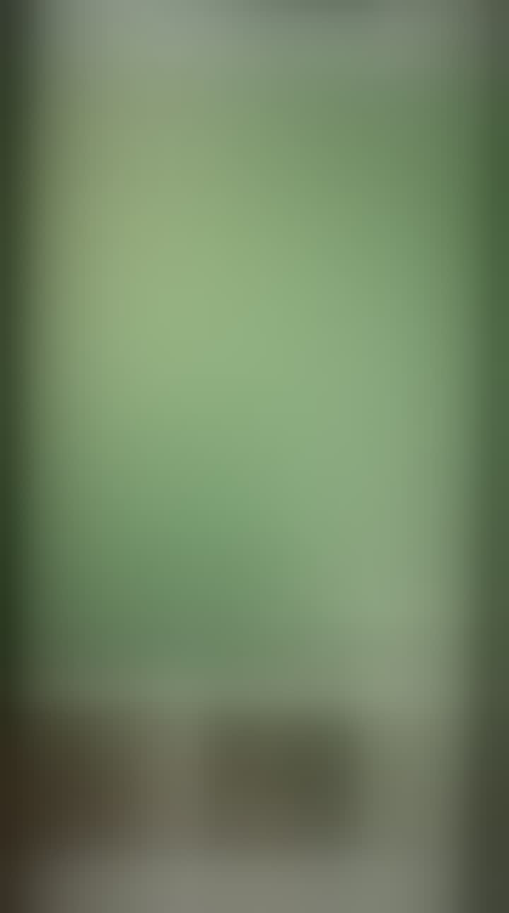 Alina — видео 5