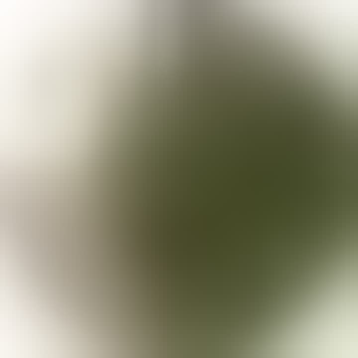 Shramko Marina — видео 6