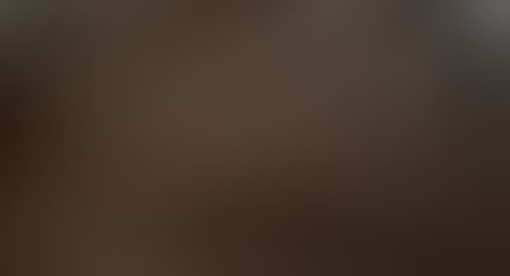 Karina Tsargasova — видео 5
