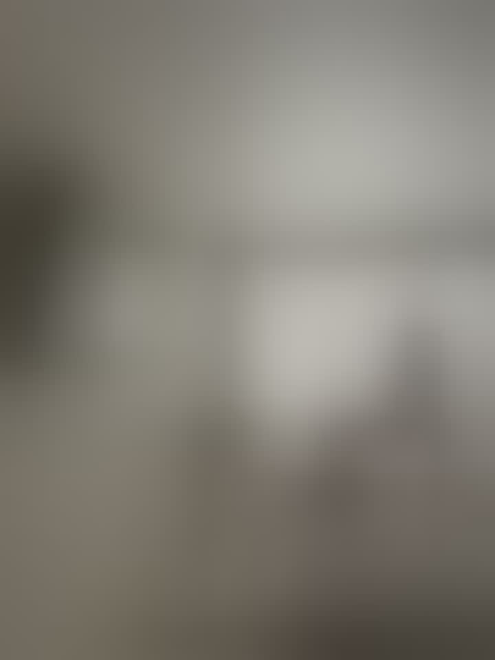 Roj Anastasiya Sergeevna — видео 1