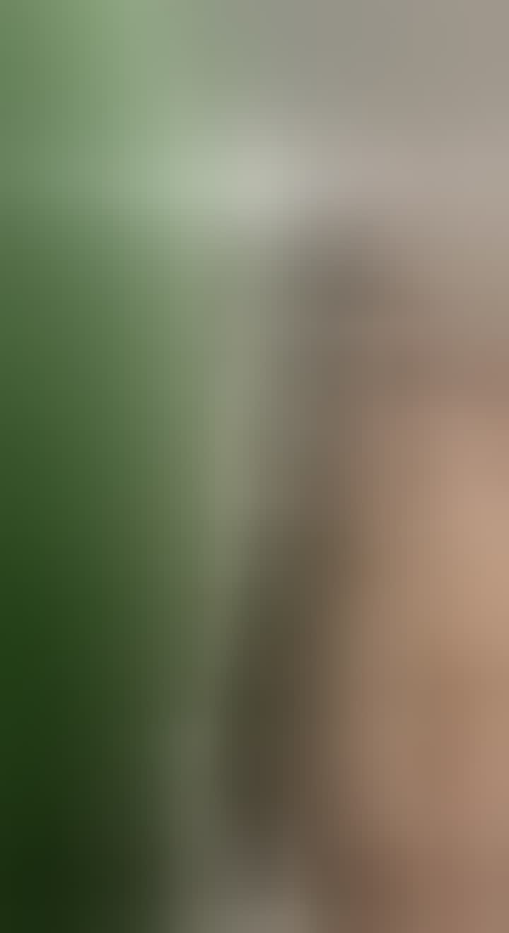 Milanteva Tatyana Aleksandrovna — видео 2