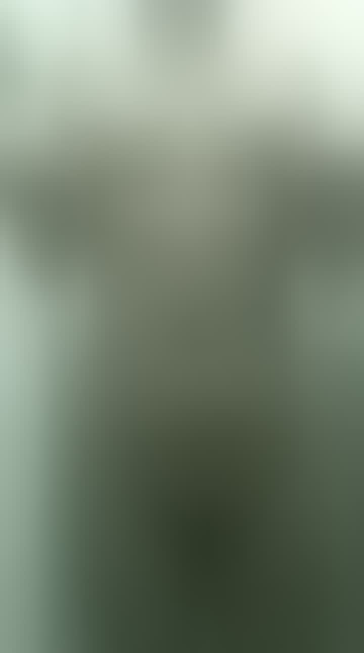 Lika — видео 1
