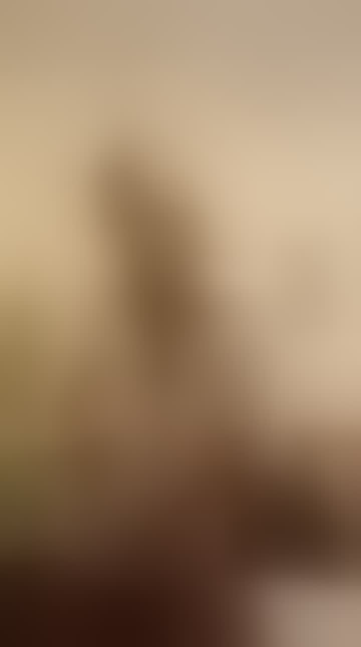 Vashina Alisa — видео 2