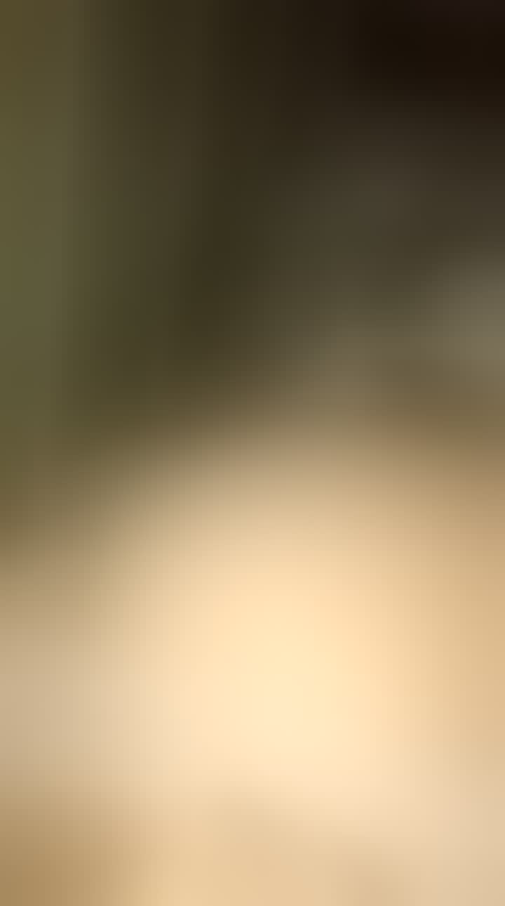 Vilkants Arina — видео 1