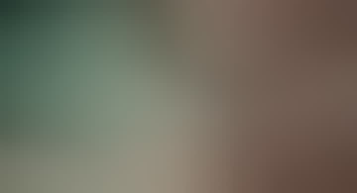 Kashtanova Alla — видео 1