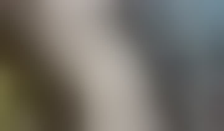 Vasilisa — видео 1