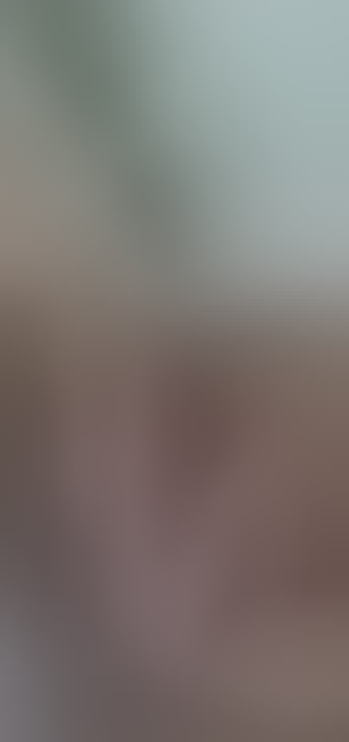 Smirnova Alisa — видео 4