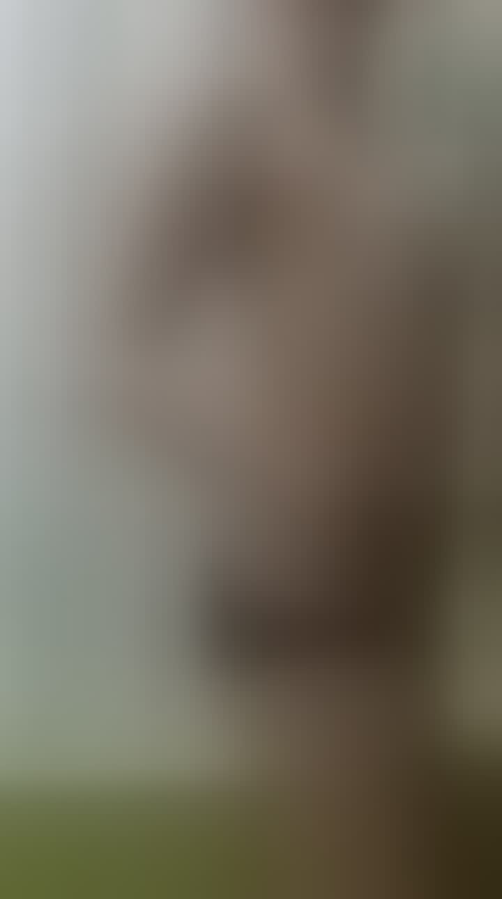 Karmadanova Nadejda — видео 1